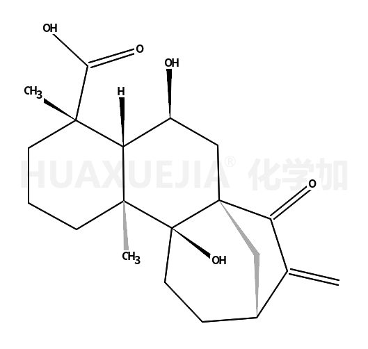 等效-6,9-二羟基-15-氧代-16-贝壳杉烯-19-酸