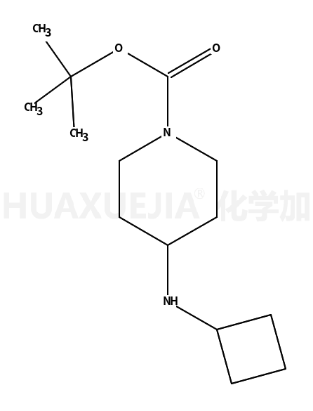 1-Boc-4-环丁基氨基哌啶