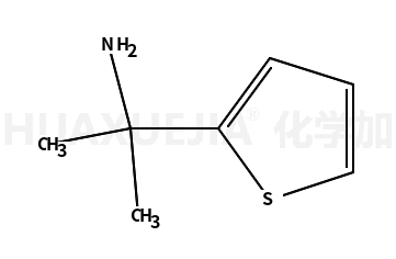 1-甲基-1-噻吩-2-基-乙胺