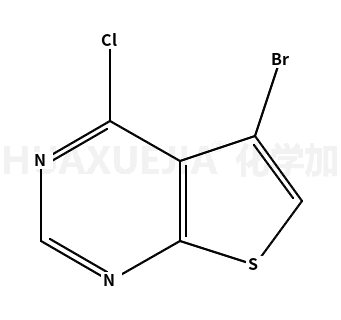 5-溴-4-氯噻吩并[2,3-d]嘧啶