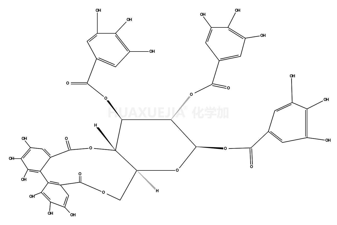 丁子芽鞣素