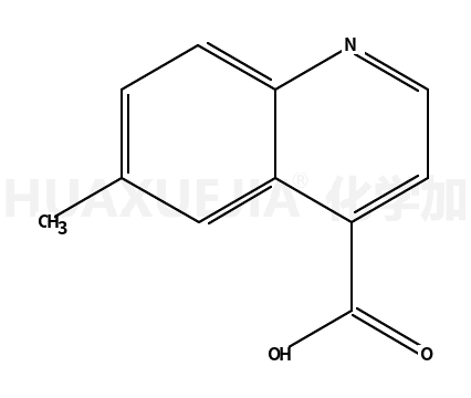 6-METHYLQUINOLINE-4-CARBOXYLIC ACID