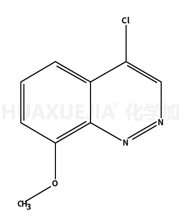 4-氯-8-甲氧基噌啉
