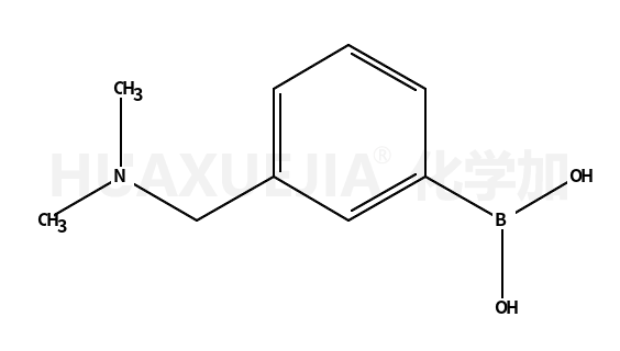 3-二甲胺甲基苯硼酸