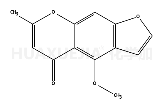 齿阿米素