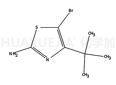 5-溴-4-(叔丁基)-1,3-噻唑-2-胺