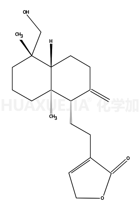 新穿心莲内酯苷元