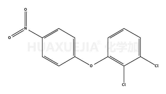 2,3-二氯苯基-4-硝基苯基醚