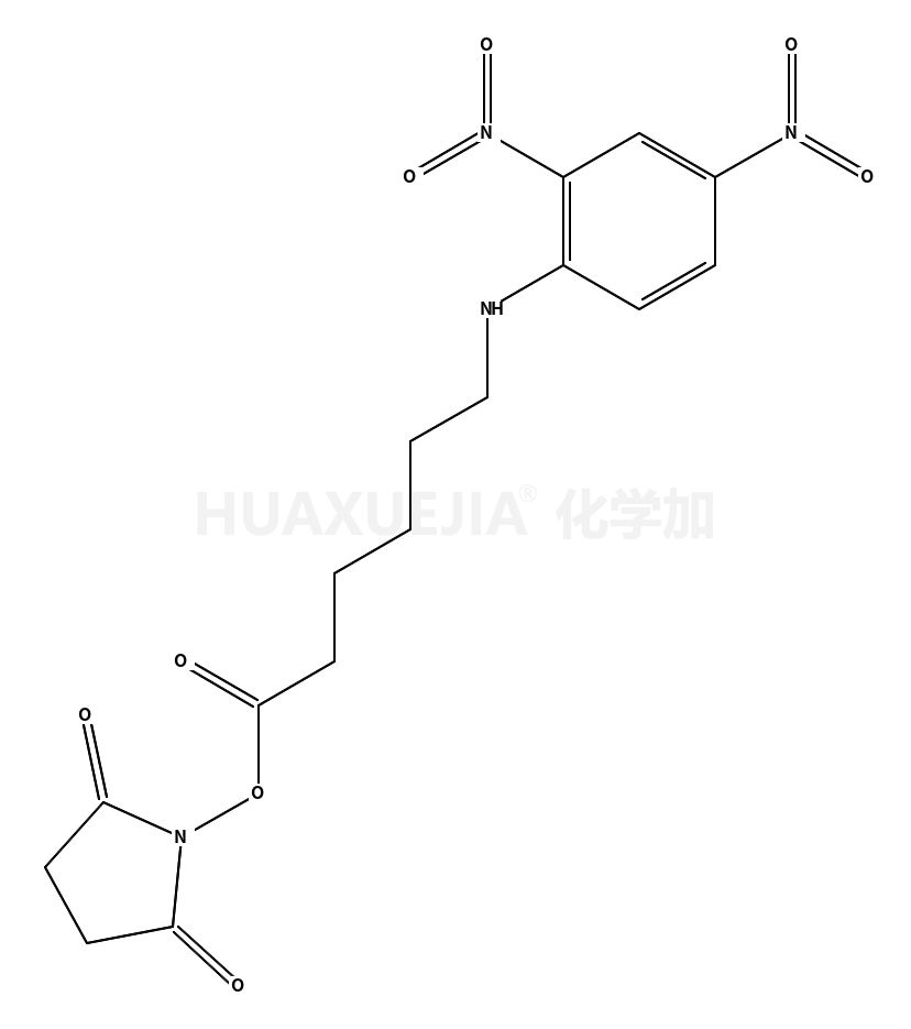 6-(2,4-二硝基苯胺基)己酸 N-琥珀酰亚氨基酯