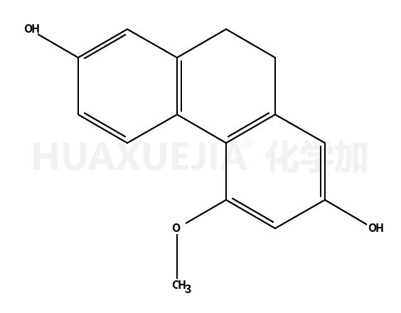 coelonin