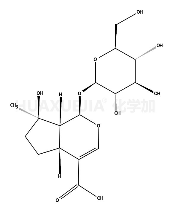 玉叶金花苷酸