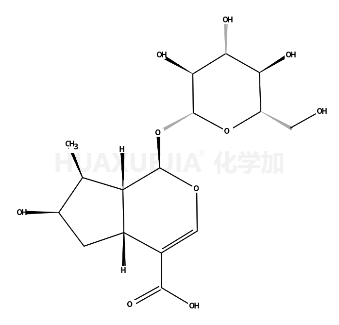 loganic acid