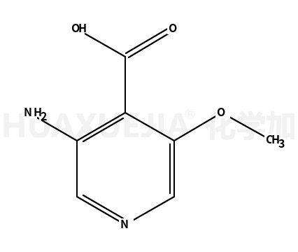 3-氨基-5-甲氧基异烟酸