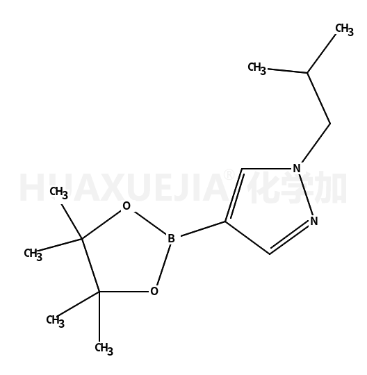1-异丁基-4-(4,4,5,5-四甲基-1,3,2-二氧硼烷-2-基-1H-吡唑
