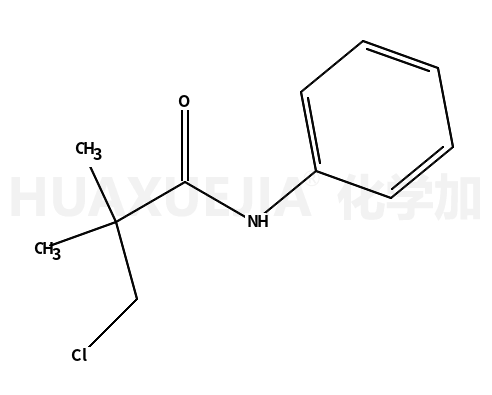 3-氯-2,2-二甲基-N-苯基丙胺