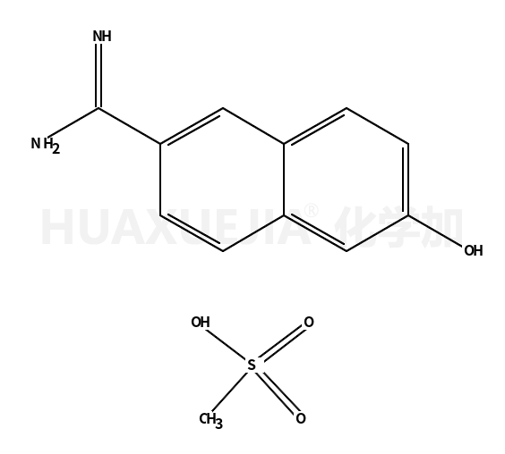 6-脒基-2-萘酚甲基磺酸