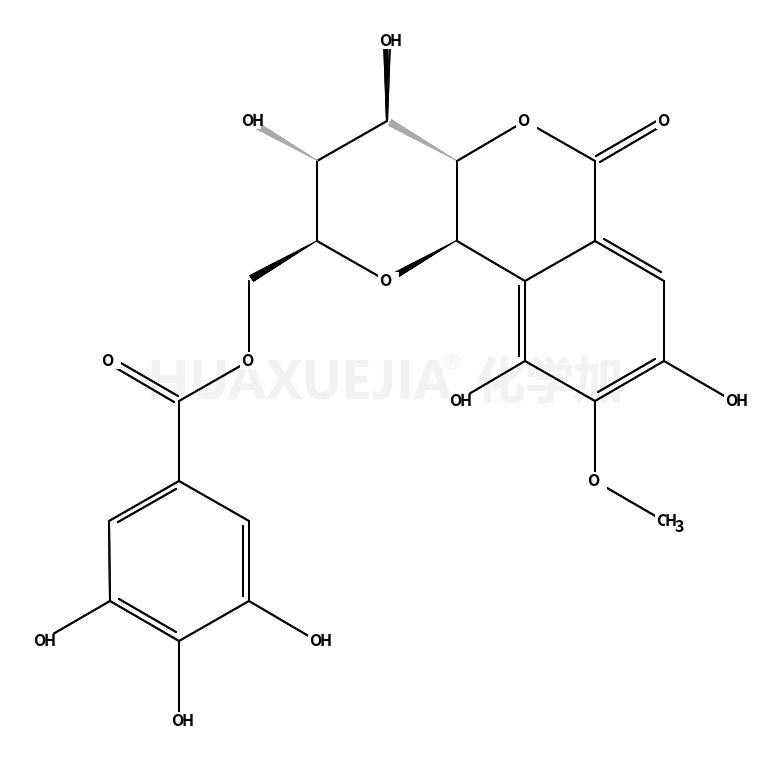 11-O-没食子酰岩白菜素