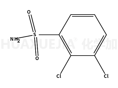 2,3-二氯苯磺胺