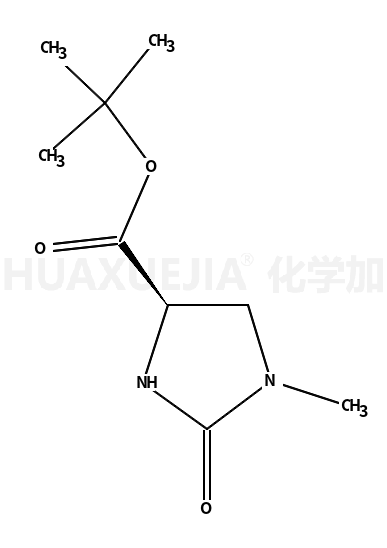 (4S)-1-甲基-2-氧代咪唑啉-4-甲酸叔丁酯