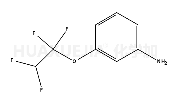 3-四氟乙氧基苯胺