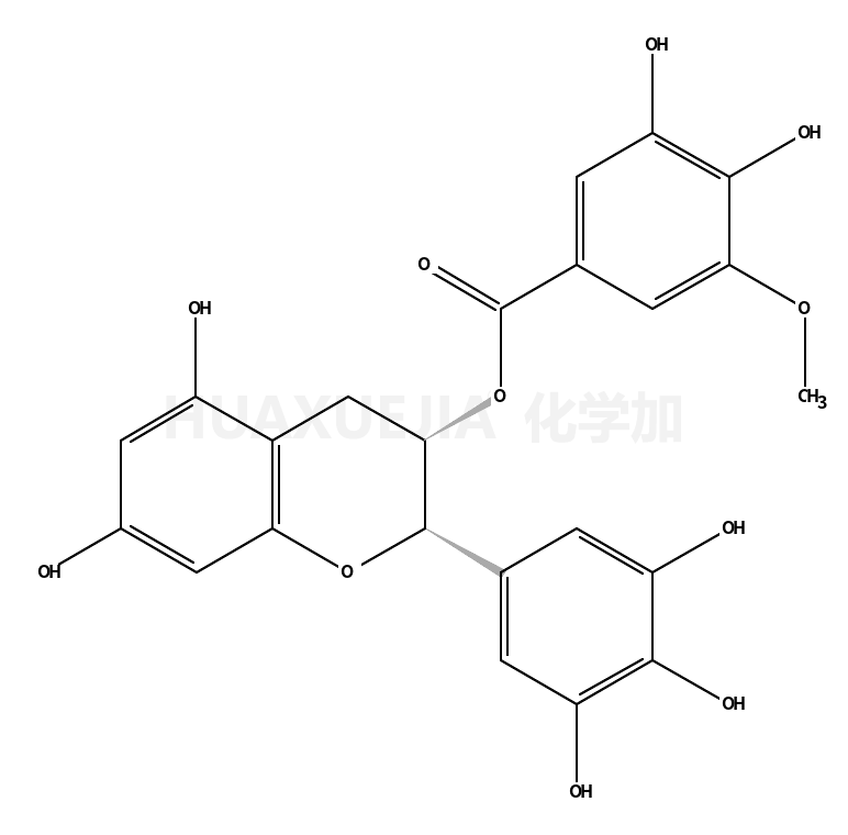 表没食子儿茶素3-O-(3''-O-甲基)没食子酸酯