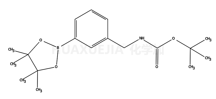 3-((N-boc-氨基)甲基)苯硼酸