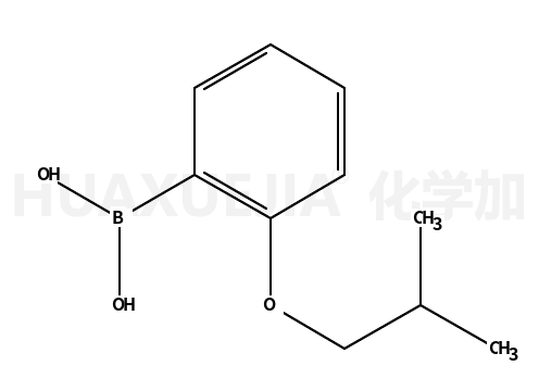 2-异丁氧基苯基硼酸