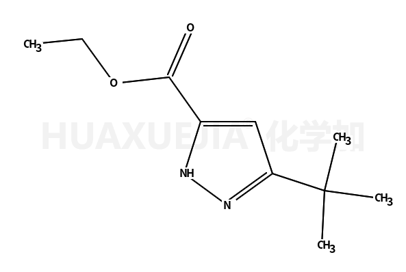 5-(叔丁基)-2H-吡唑-3-甲酸乙酯