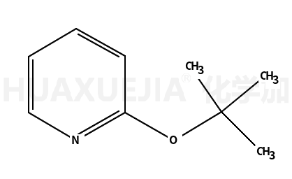 2-(叔丁氧基)吡啶