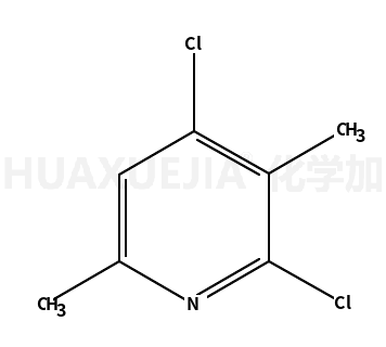 2,4-二氯-3,6-二甲基吡啶