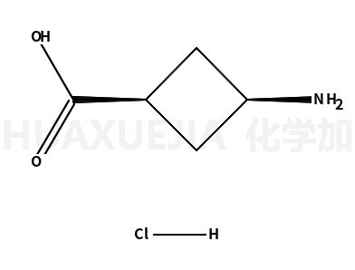 CIS-3-氨基环丁烷羧酸盐酸盐