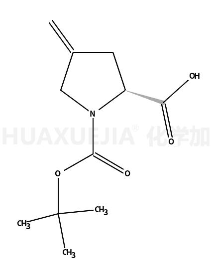 N-Boc-4-亚甲基-L-脯氨酸