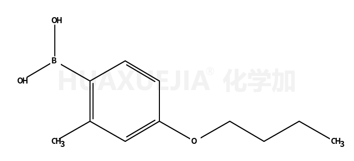 4-丁氧基-2-甲基苯硼酸