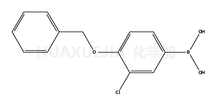 4-苄氧基-3-氯苯硼酸