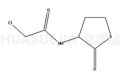 N-氯乙酰基高半胱氨酸硫内酯