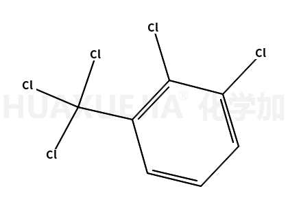 2.3-二氯苯并三氯化物