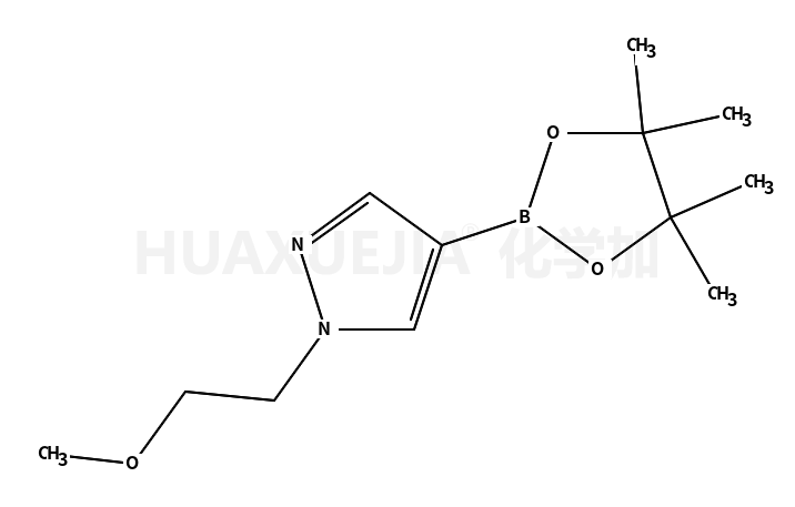 1-(2-甲氧基乙基)-4-(4,4,5,5-四甲基-1,3,2-二噁硼烷-2-基)-1H-吡唑