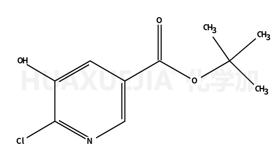 6-氯-5-羟基烟酸叔丁酯