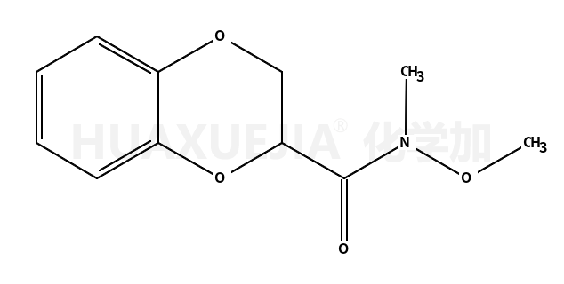 N-甲氧基-N-甲基-2,3-二氫苯并[b][1,4]二噁英e-2-羧酰胺