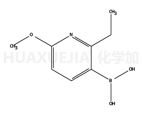 2-乙基-6-甲氧基吡啶-3-硼酸