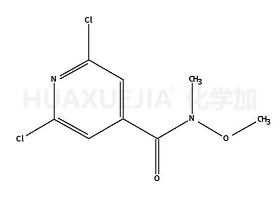 2,6-二氯-N-甲基-N-(甲基氧基)-4-吡啶羧酰胺