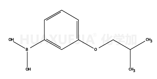 3-异丁氧基苯基硼酸