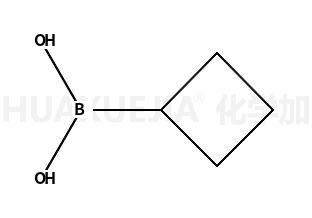 环丁基硼酸