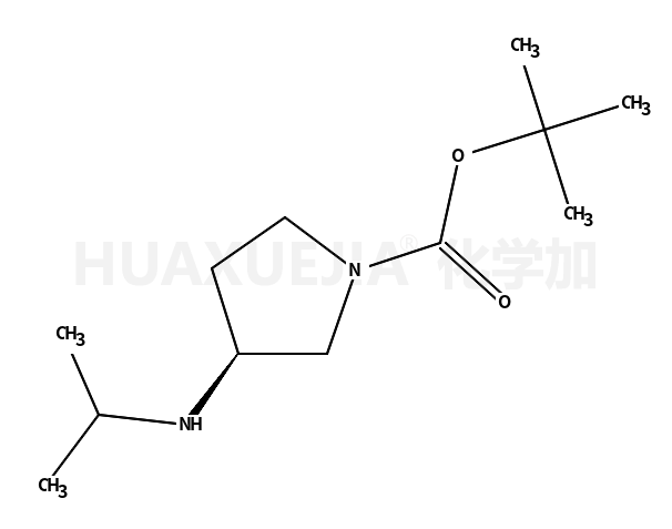 (S)-3-异丙基氨基-吡咯烷-1-羧酸叔丁酯