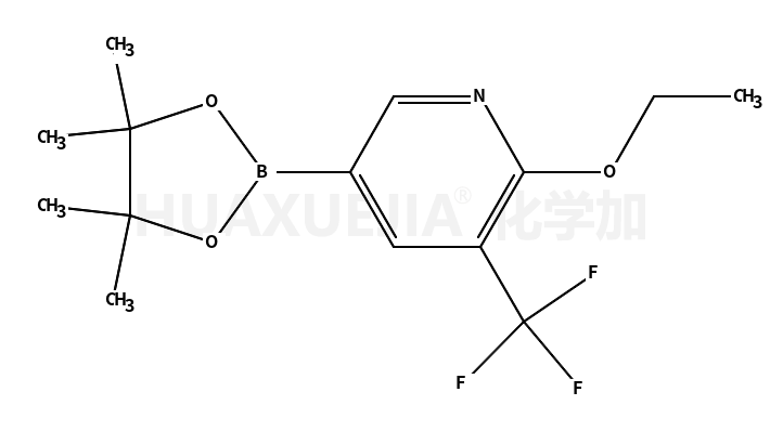 2-乙氧基-5-(4,4,5,5-四甲基-1,3,2-二噁硼烷-2-基)-3-(三氟甲基)-吡啶