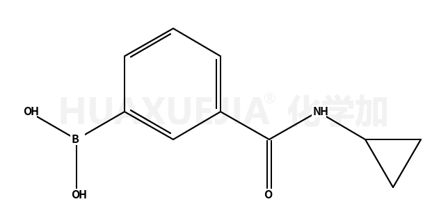 3-(环丙基氨甲酰基)苯硼酸