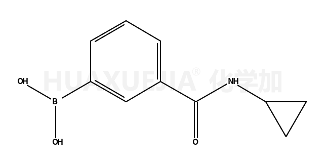 3-(環(huán)丙基氨甲酰基)苯硼酸