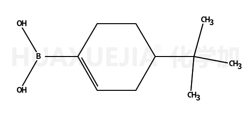 4-叔丁基-1-环己烯硼酸