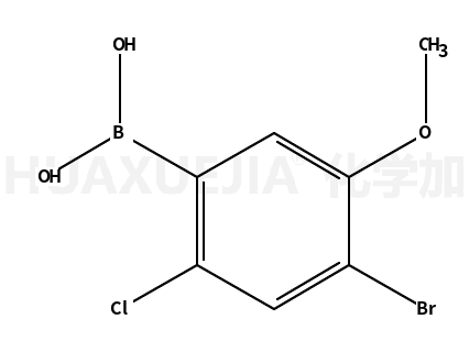 4-溴-2-氯-5-甲氧基苯基硼酸
