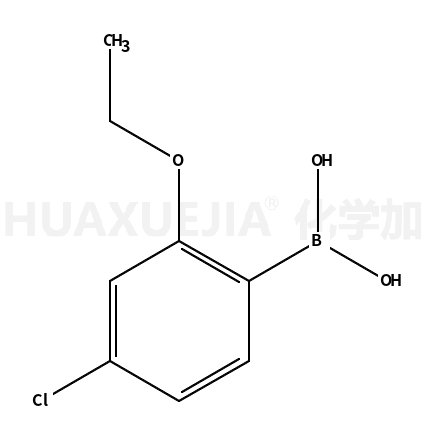 4-氯-2-乙氧基苯硼酸